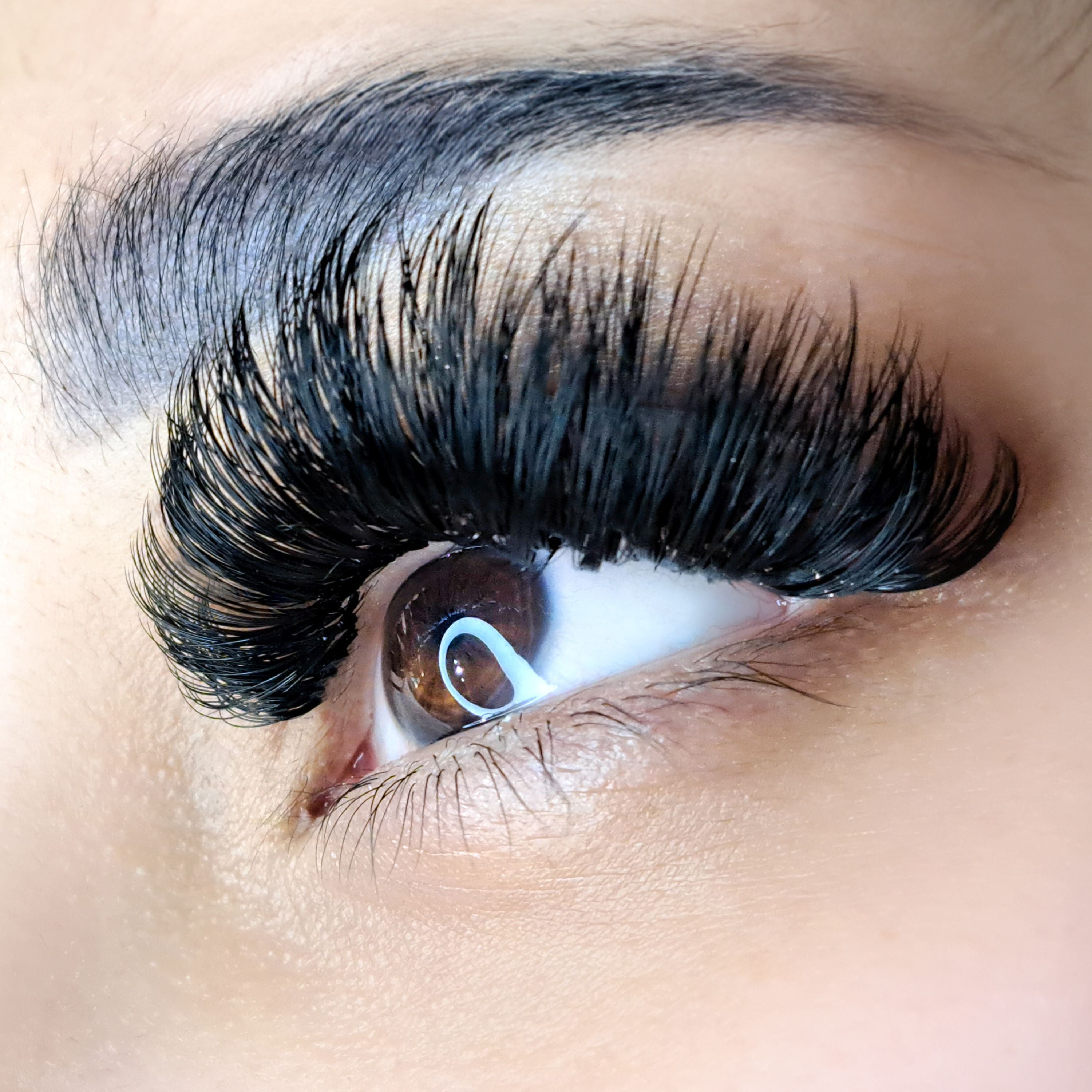 Mega Volume Lashes - Full Set